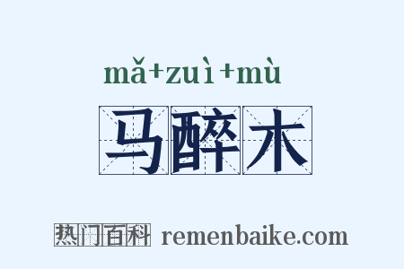 马醉木是什么意思的图片